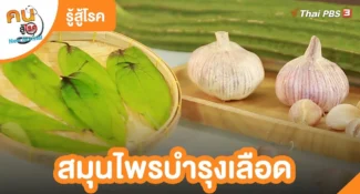 คลิป-สมุนไพรบำรุงเลือด | รู้สู้โรค