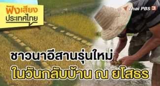 คลิป – ชาวนา อีสานรุ่นใหม่ในวันกลับบ้าน ณ ยโสธร | ฟังเสียงประเทศไทย