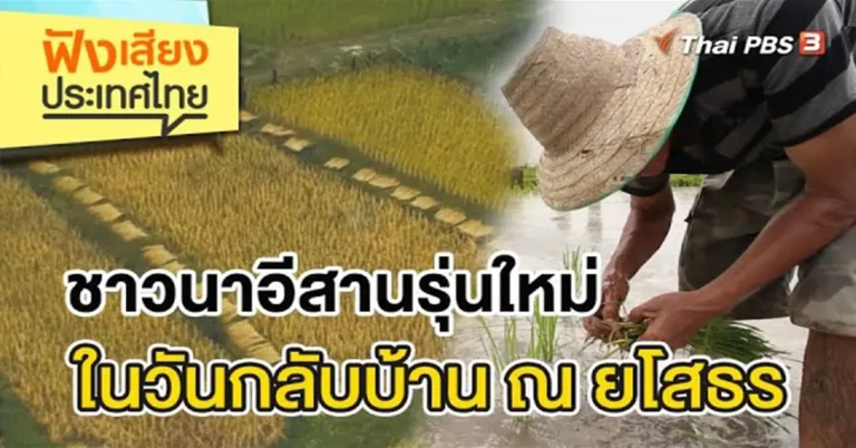 คลิป – ชาวนา อีสานรุ่นใหม่ในวันกลับบ้าน ณ ยโสธร | ฟังเสียงประเทศไทย