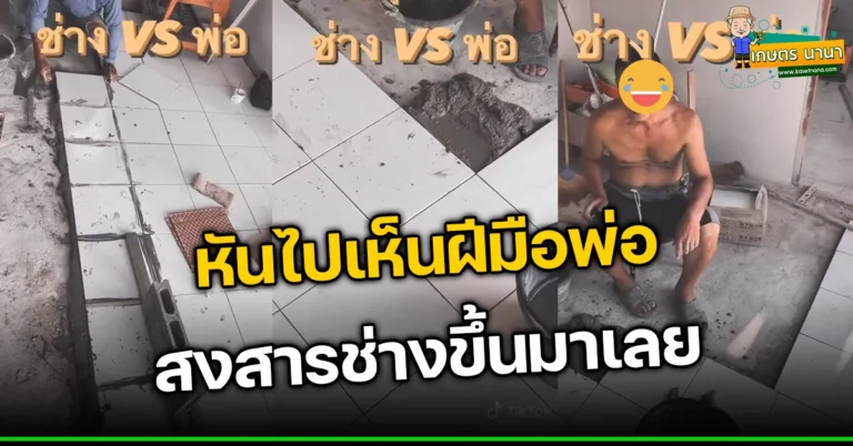 ผลงานปูกระเบื้องของช่าง กับฝีมือของพ่อ เห็นผลงานพ่อแล้วกุมขมับเลย (มีคลิป)