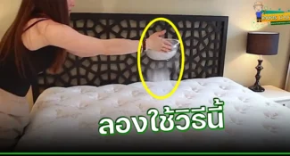 วิธีง่ายๆ เคล็ดลับ “ทำความสะอาดที่นอน” ใครๆ ก็ทำได้