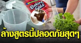 วิธีล้างผักให้ถูกวิธี หายห่วงกินได้อย่างปลอดภัย