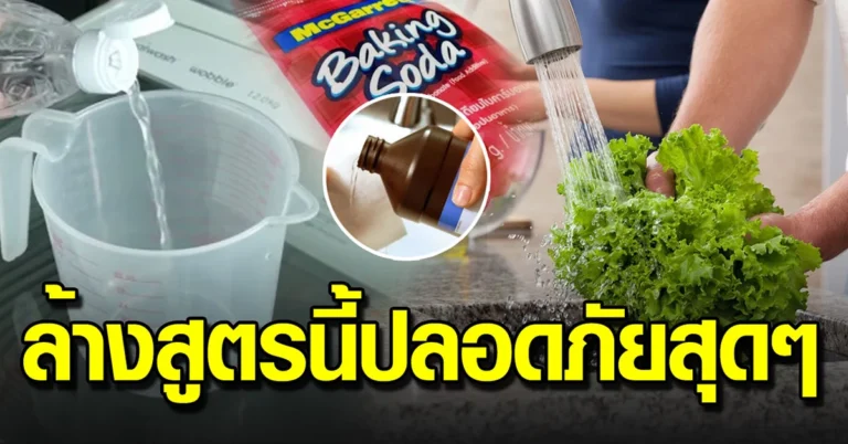 วิธีล้างผักให้ถูกวิธี หายห่วงกินได้อย่างปลอดภัย