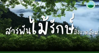 สารพัน ไม้ รักษ์ สิ่งแวดล้อม