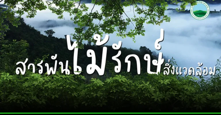 สารพัน ไม้ รักษ์ สิ่งแวดล้อม