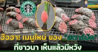 ฮือฮา อดคิดไม่ได้จริงๆ เมนูใหม่ ‘Starbucks’ ชาวนาเห็นแล้วยิ้ม