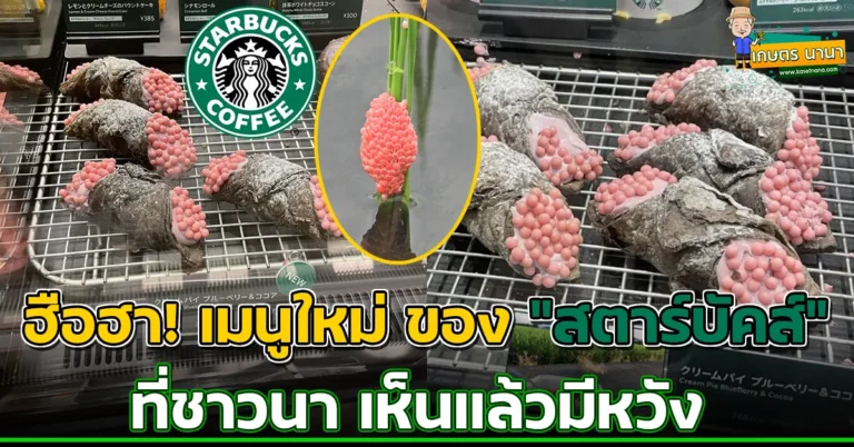 ฮือฮา อดคิดไม่ได้จริงๆ เมนูใหม่ ‘Starbucks’ ชาวนาเห็นแล้วยิ้ม