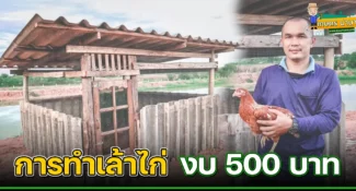 ไอเดีย การทำเล้าไก่แบบเรียบง่าย ด้วยงบ 500