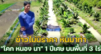 คลิป-ข้าวไม่มีราคา!! เเบ่งที่นามาทำผสมผสานสร้างแหล่งอาหารและรายได้ ลดรายจ่ายเลี้ยงปลาเลี้ยงกบปลูกไม้ผล