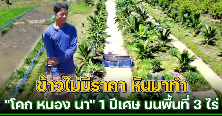 คลิป-ข้าวไม่มีราคา!! เเบ่งที่นามาทำผสมผสานสร้างแหล่งอาหารและรายได้ ลดรายจ่ายเลี้ยงปลาเลี้ยงกบปลูกไม้ผล