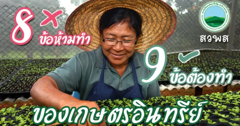 เกษตรอินทรีย์ 8 ข้อห้ามทำ 9 ข้อต้องทำ