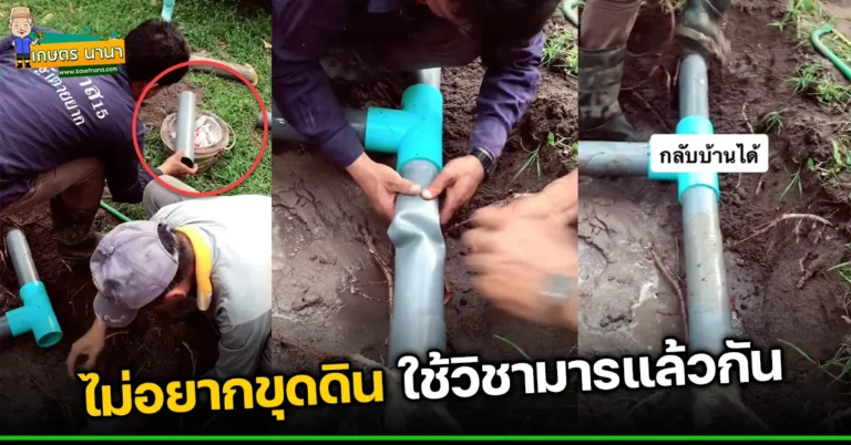 เทคนิคเปลี่ยนท่อ PVC ไม่ต้องขุดเยอะให้เปลืองแรง ใช้งานได้จริง (มีคลิป)