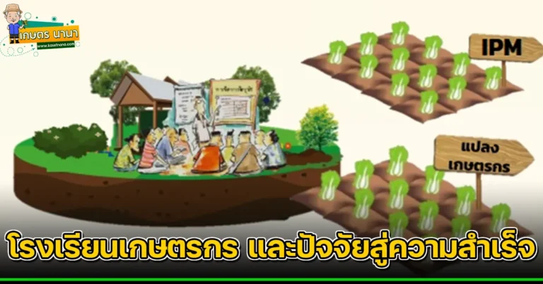 โรงเรียนเกษตรกร และปัจจัยสู่ความสำเร็จ