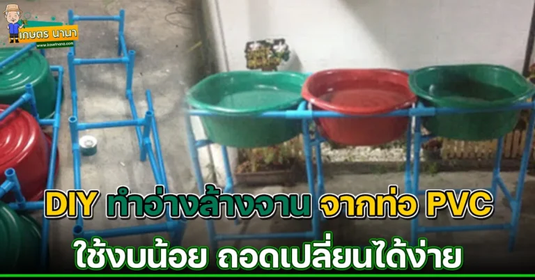 DIY วิธีทำอ่างล้างจานพอเพียง จากท่อ PVC ถอดเก็บได้ ใช้งบน้อย