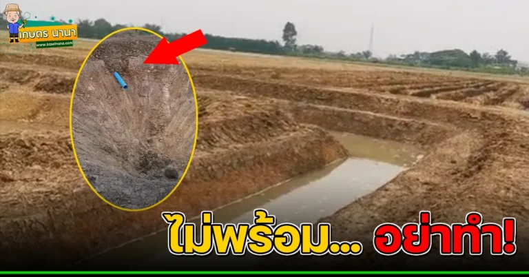 ขุดคลองทำ โคกหนองนา ขุดเสร็จแล้วต้องระวัง (มีคลิป)