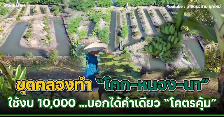 คลิป ทำโคกหนองนา ขุดคลองสวยๆ ด้วยงบ 10,000 บอกได้คำเดียวโคตรคุ้ม