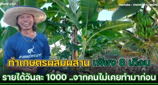 คลิป สุดๆ ไปเลย ทำเกษตรผสมผสาน 8 เดือน มีรายได้วันละ 1000 จากคนไม่เคยทำมาก่อน