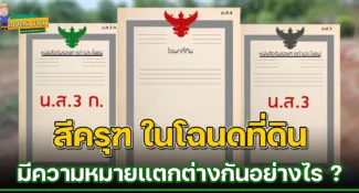 ดูให้ดีก่อนซื้อ-ขายที่ดิน โฉนดครุฑแดง ครุฑเขียว ครุฑดำ คนมีที่ดินควรรู้ไว้