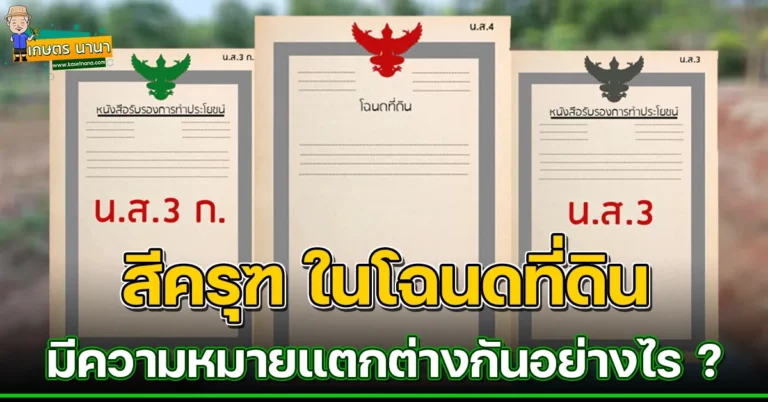 ดูให้ดีก่อนซื้อ-ขายที่ดิน โฉนดครุฑแดง ครุฑเขียว ครุฑดำ คนมีที่ดินควรรู้ไว้