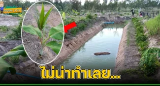 หนุ่มเล่า ไม่น่าทำ “โคก-หนอง-นา โมเดล” เลย มันทำให้การใช้ชีวิตเปลี่ยน