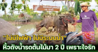 คลิป แนวทาง “ทำเกษตรผสมผสาน” แบบไม่มีไฟฟ้า บนพื้นที่ 1 ไร่ 2 งาน