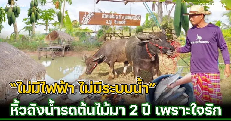 คลิป แนวทาง “ทำเกษตรผสมผสาน” แบบไม่มีไฟฟ้า บนพื้นที่ 1 ไร่ 2 งาน