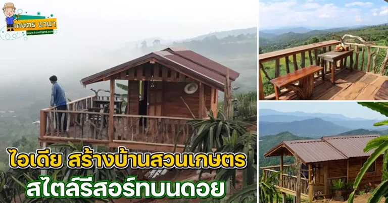 ไอเดีย “บ้านสวนเกษตร” สไตล์รีสอร์ทบนดอย สร้างไว้เฝ้าสวน พักผ่อน