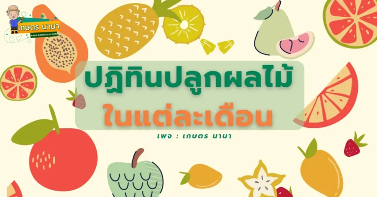 ปฎิทินปลูกผลไม้ ในแต่ละเดือน ปี 2566