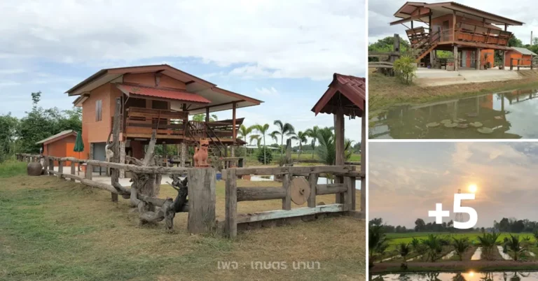 ไอเดียสร้างบ้านสวน บ้านไม้ชายทุ่ง งบ 350000