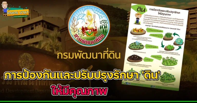 การป้องกันและปรับปรุงรักษา ‘ดิน’ ให้มีคุณภาพ